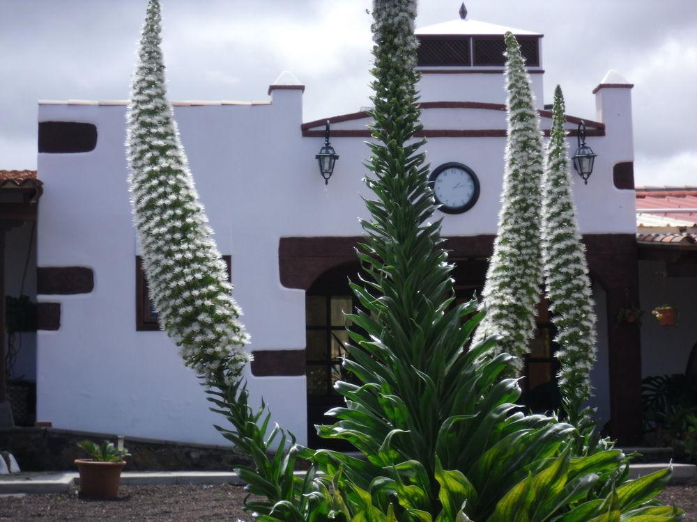 Finca El Picacho 호텔 Valle de Guerra 외부 사진